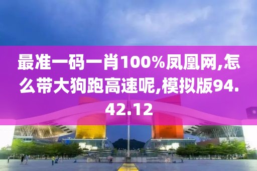 最准一码一肖100%凤凰网,怎么带大狗跑高速呢,模拟版94.42.12