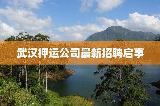 武汉押运公司最新招聘启事