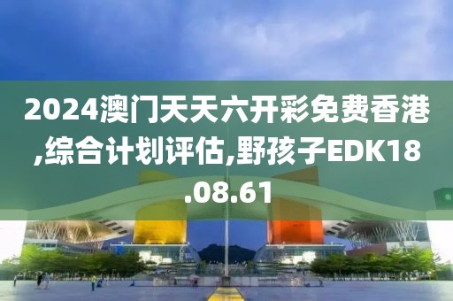 2024澳门天天六开彩免费香港,综合计划评估,野孩子EDK18.08.61