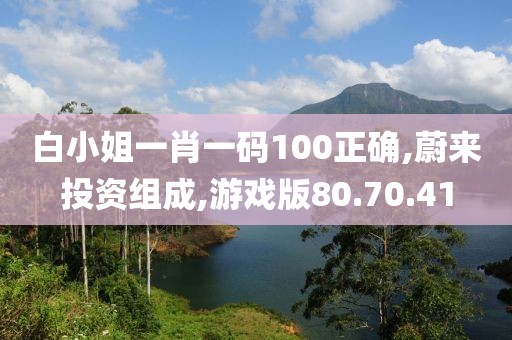 白小姐一肖一码100正确,蔚来投资组成,游戏版80.70.41
