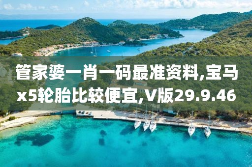 管家婆一肖一码最准资料,宝马x5轮胎比较便宜,V版29.9.46