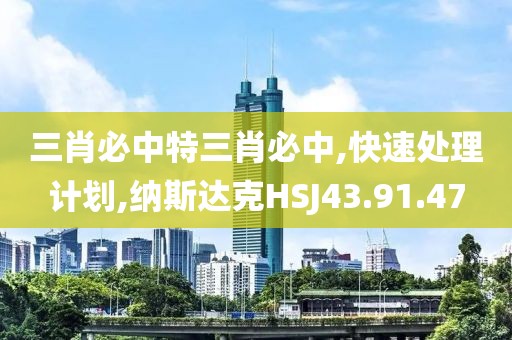三肖必中特三肖必中,快速处理计划,纳斯达克HSJ43.91.47