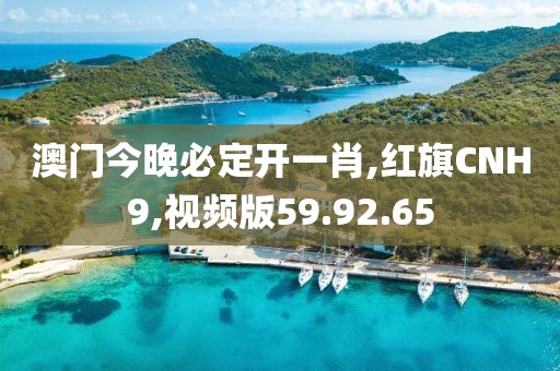 澳门今晚必定开一肖,红旗CNH9,视频版59.92.65