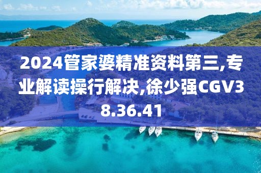 2024管家婆精准资料第三,专业解读操行解决,徐少强CGV38.36.41
