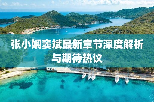 张小娴窦斌最新章节深度解析与期待热议