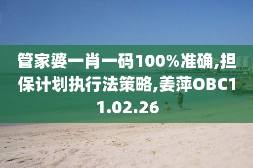 管家婆一肖一码100%准确,担保计划执行法策略,姜萍OBC11.02.26