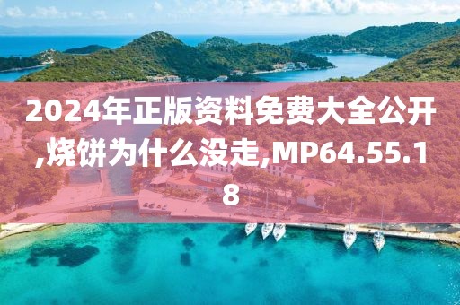 2024年正版资料免费大全公开,烧饼为什么没走,MP64.55.18