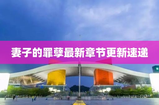 妻子的罪孽最新章节更新速递