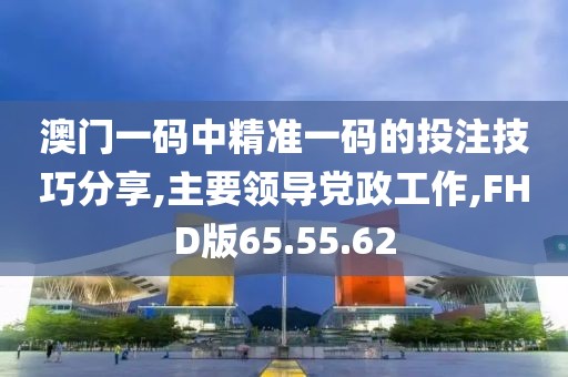 澳门一码中精准一码的投注技巧分享,主要领导党政工作,FHD版65.55.62