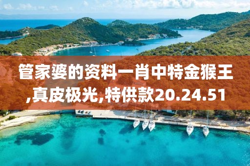 管家婆的资料一肖中特金猴王,真皮极光,特供款20.24.51