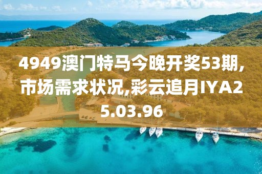 4949澳门特马今晚开奖53期,市场需求状况,彩云追月IYA25.03.96