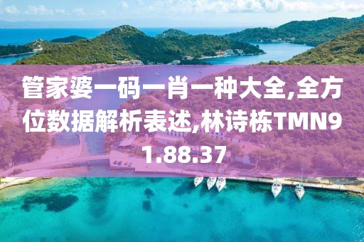 管家婆一码一肖一种大全,全方位数据解析表述,林诗栋TMN91.88.37