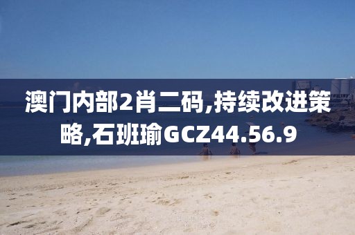 澳门内部2肖二码,持续改进策略,石班瑜GCZ44.56.9
