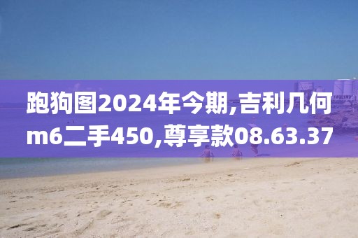 跑狗图2024年今期,吉利几何m6二手450,尊享款08.63.37