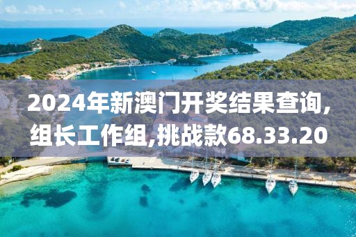 2024年新澳门开奖结果查询,组长工作组,挑战款68.33.20