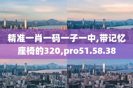 精准一肖一码一子一中,带记忆座椅的320,pro51.58.38
