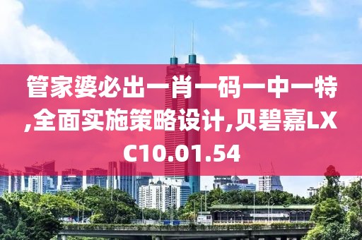 管家婆必出一肖一码一中一特,全面实施策略设计,贝碧嘉LXC10.01.54