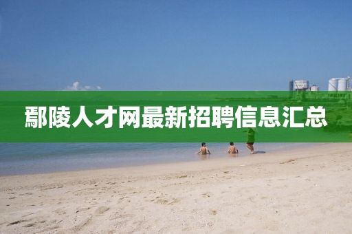 薰衣草的夏天 第46页