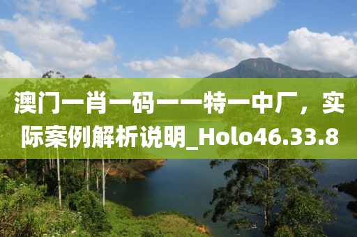 澳门一肖一码一一特一中厂，实际案例解析说明_Holo46.33.80