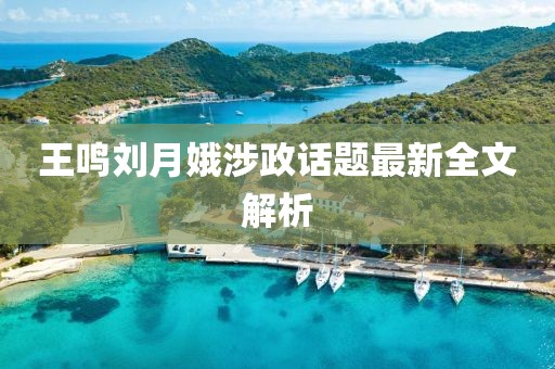 王鸣刘月娥涉政话题最新全文解析