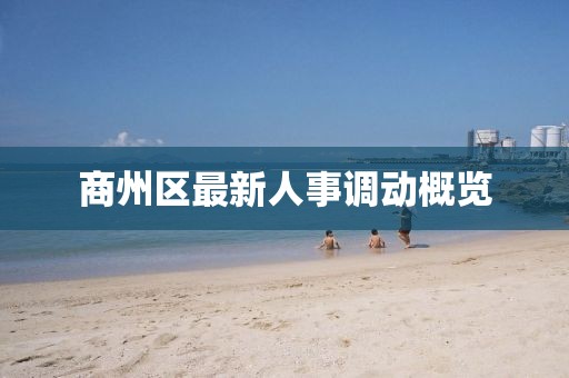 商州区最新人事调动概览