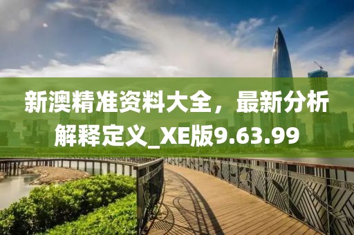 新澳精准资料大全，最新分析解释定义_XE版9.63.99