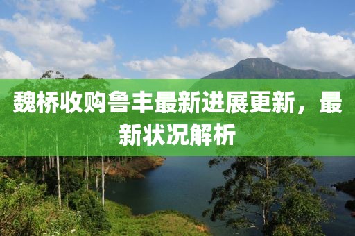 魏桥收购鲁丰最新进展更新，最新状况解析