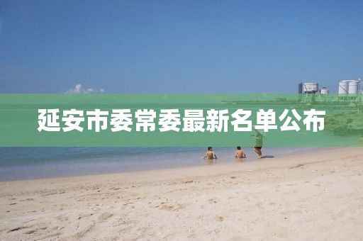 延安市委常委最新名单公布