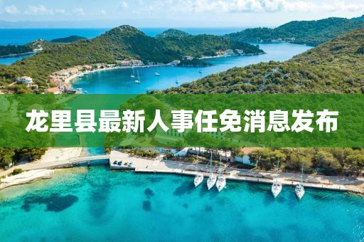 龙里县最新人事任免消息发布
