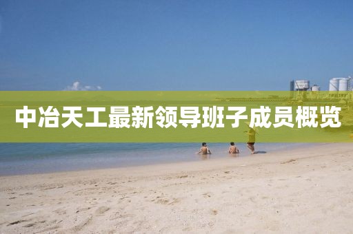 中冶天工最新领导班子成员概览