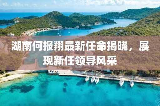 此心亦然 第48页