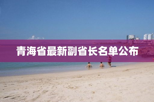 青海省最新副省长名单公布