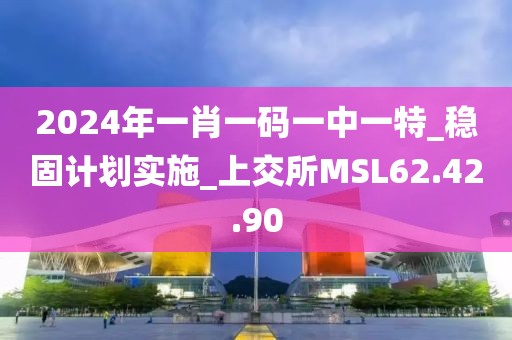 2024年一肖一码一中一特_稳固计划实施_上交所MSL62.42.90