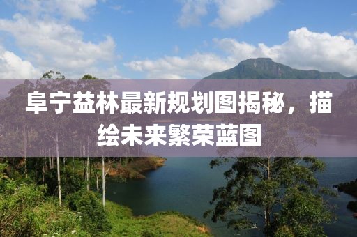 阜宁益林最新规划图揭秘，描绘未来繁荣蓝图
