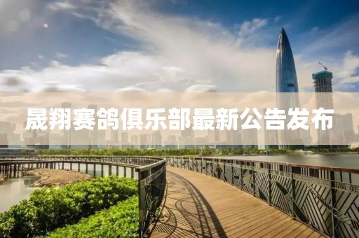 晟翔赛鸽俱乐部最新公告发布