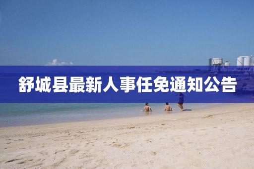两把枪闯天下 第50页