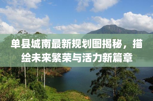 单县城南最新规划图揭秘，描绘未来繁荣与活力新篇章