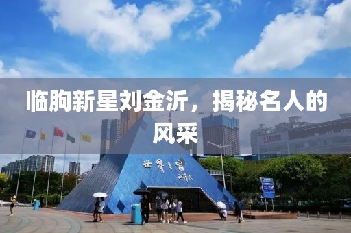 临朐新星刘金沂，揭秘名人的风采