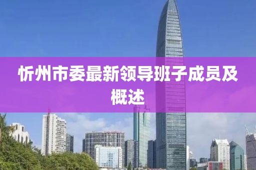 忻州市委最新领导班子成员及概述