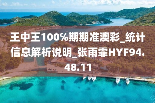 王中王100℅期期准澳彩_统计信息解析说明_张雨霏HYF94.48.11