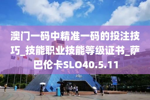 澳门一码中精准一码的投注技巧_技能职业技能等级证书_萨巴伦卡SLO40.5.11
