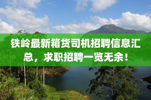 铁岭最新箱货司机招聘信息汇总，求职招聘一览无余！