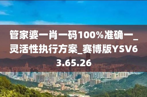 管家婆一肖一码100%准确一_灵活性执行方案_赛博版YSV63.65.26