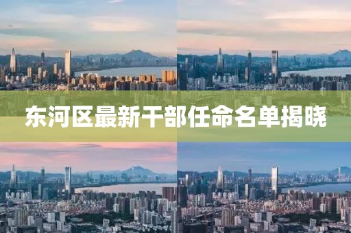 东河区最新干部任命名单揭晓