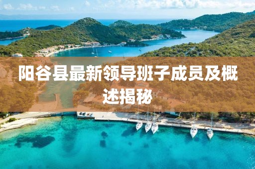 阳谷县最新领导班子成员及概述揭秘