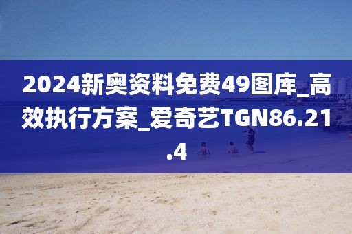 2024新奥资料免费49图库_高效执行方案_爱奇艺TGN86.21.4