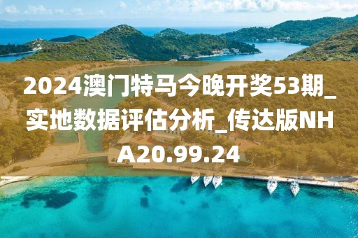 2024澳门特马今晚开奖53期_实地数据评估分析_传达版NHA20.99.24