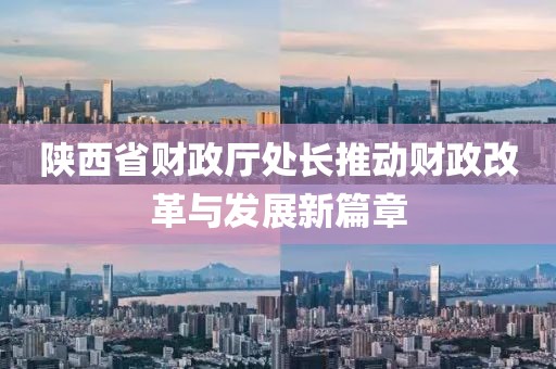 陕西省财政厅处长推动财政改革与发展新篇章