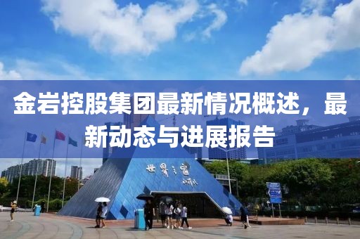 金岩控股集团最新情况概述，最新动态与进展报告