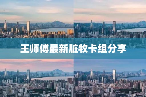 王师傅最新脏牧卡组分享
